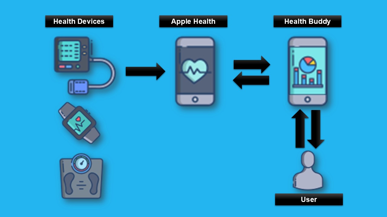 A diagram showing the flow of data to the iOS Application. It shows a selection of health devices that automatically send their data to the apple health store. The iOS application then pulls that data in order to generate the graphs and exports.